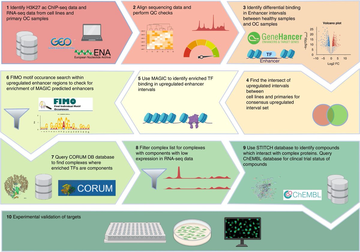 On a roll! 📰💊Another new paper from <a href="/RBGO_SwanseaUni/">RBGO</a>: computer aided drug discovery for ovarian cancer! Read here: rdcu.be/dbaeR