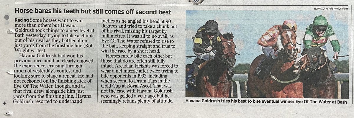 Francesca Altoft tweet media