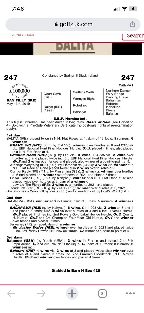 k_woollacott's tweet photo. Another 4yo winner yesterday in the Vauterhill Mares Maiden, this lovely mare by @boardsmillstud Court Cave has a great pedigree and is now for sale π€©π₯π₯ #Storehorsetoracehorse #4yoWinner #GoPointing https://t.co/wd67N5IoHW