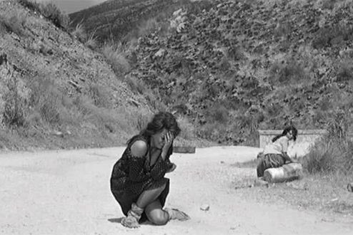 Francesca Totolo tweet media