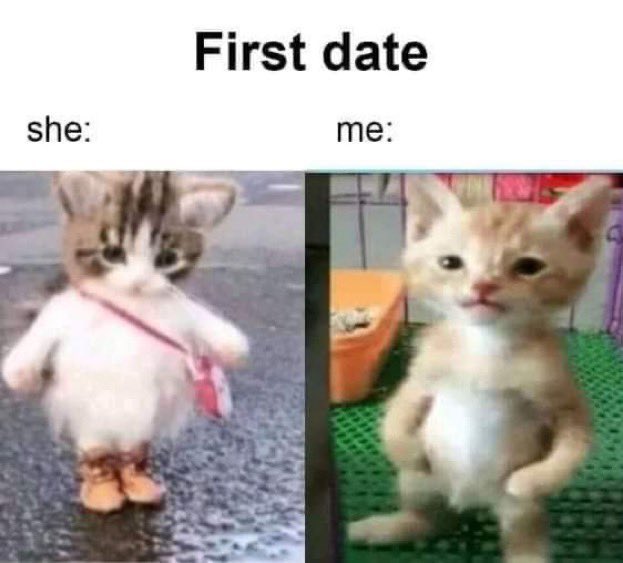 ShitpostGateway (@shitpostgate) on Twitter photo 