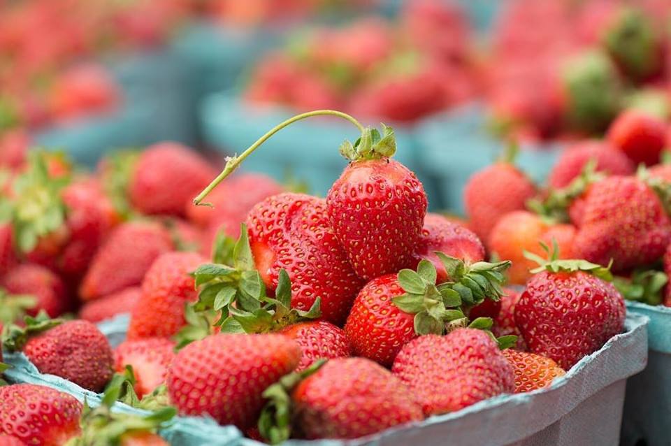 Milk Lady Markets tweet media