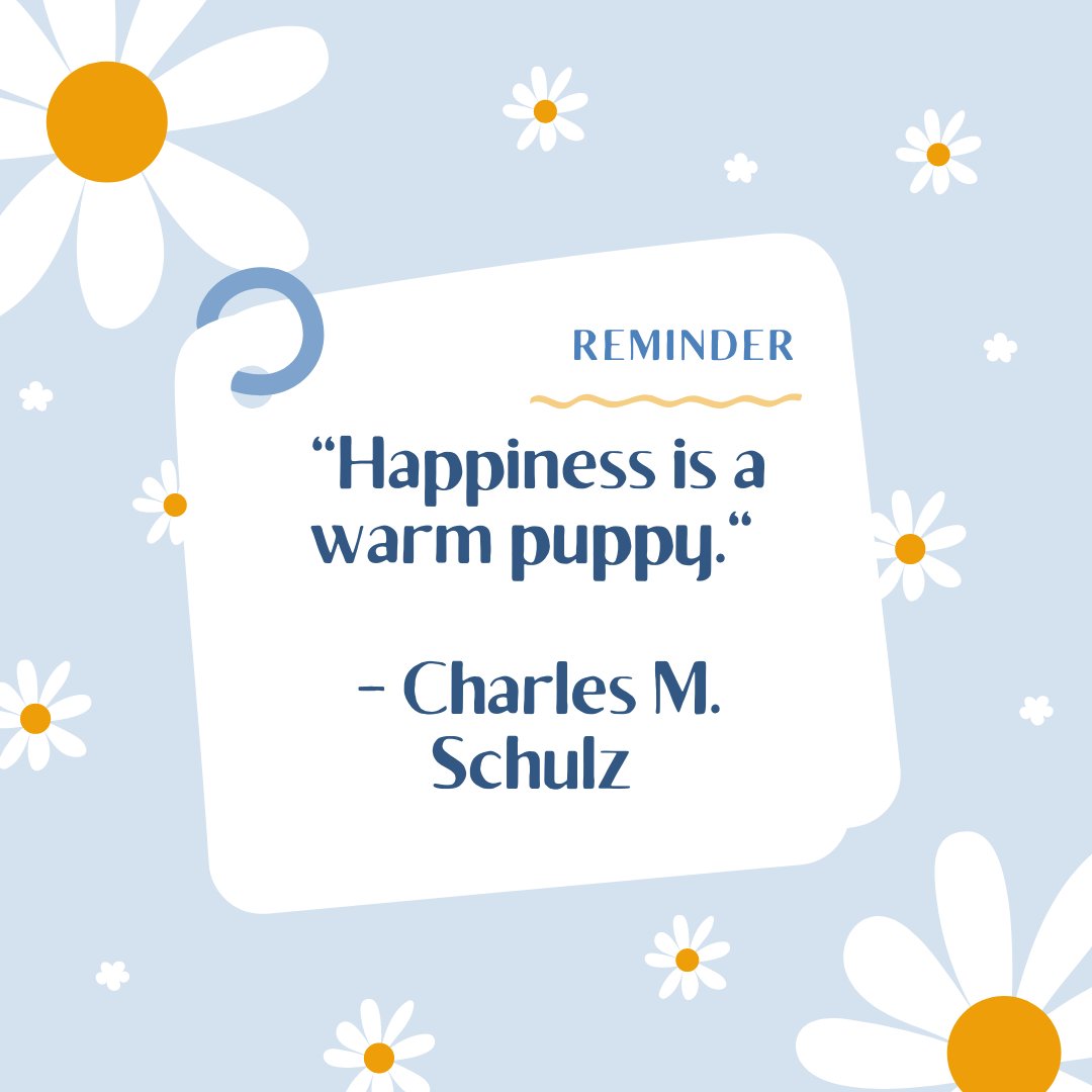 Our furry friends bring happiness into our lives. 🐶💛 #doghappiness #dogboarding #expatlife