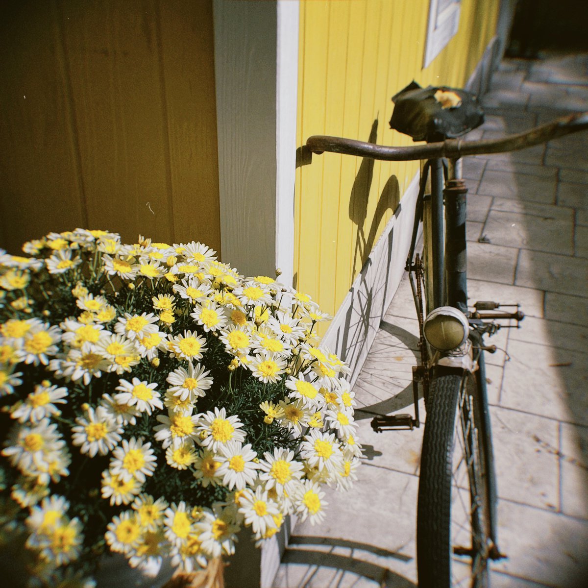 umeshio_desu's tweet image. GWいかがお過ごしですか。ムーミンバレーパークの感想をライブ配信で話しました。行楽気分になれる可能性ある。

✅こじらせ厄介オタク決死の覚悟
✅フィリヨンカへの強い共感
✅木刀的バームクーヘン

🎧配信アーカイブ（90分）
#Radiotalk アプリで聴ける
#あぶらうってこ
radiotalk.page.link/7iximPLMUrYRAH…