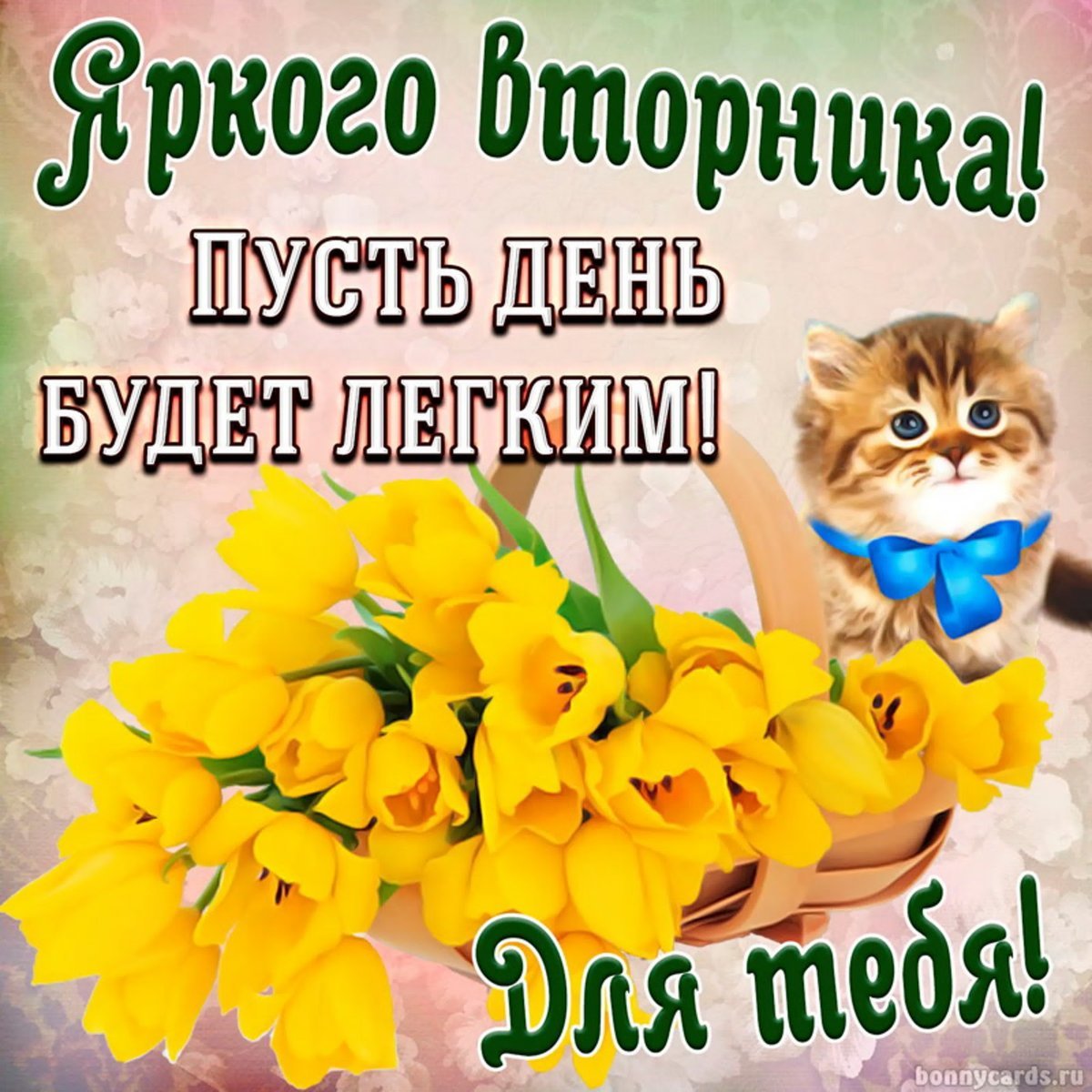 Легкого вторника и хорошего настроения