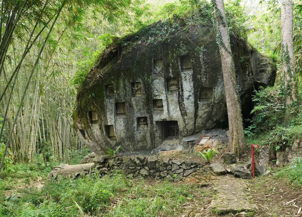 Ancient History Criticisms tweet media