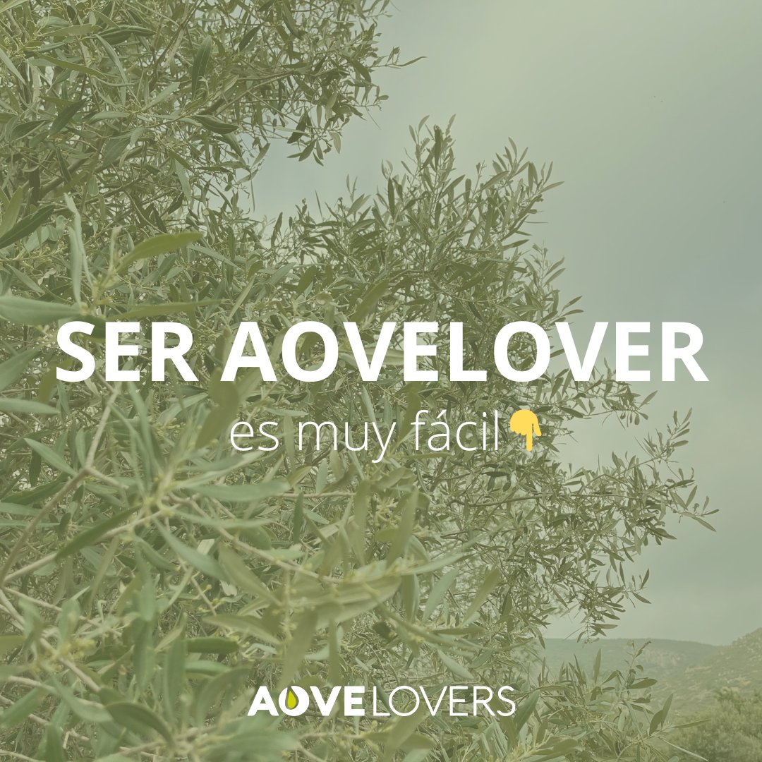 AOVE LOVERS tweet media
