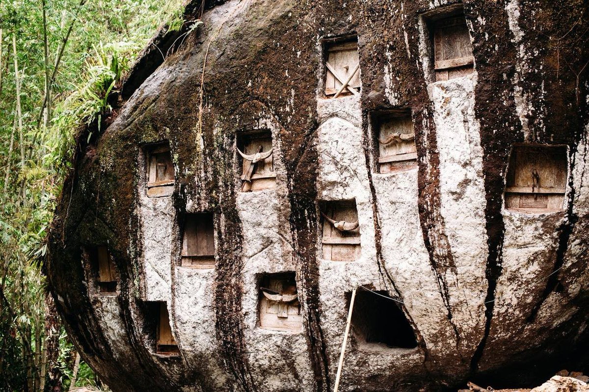 Ancient History Criticisms tweet media