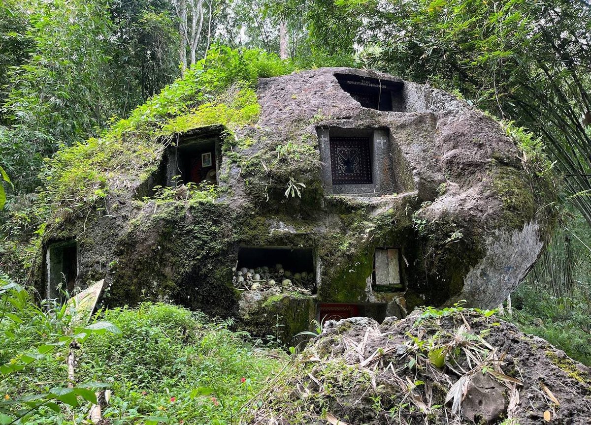 Ancient History Criticisms tweet media