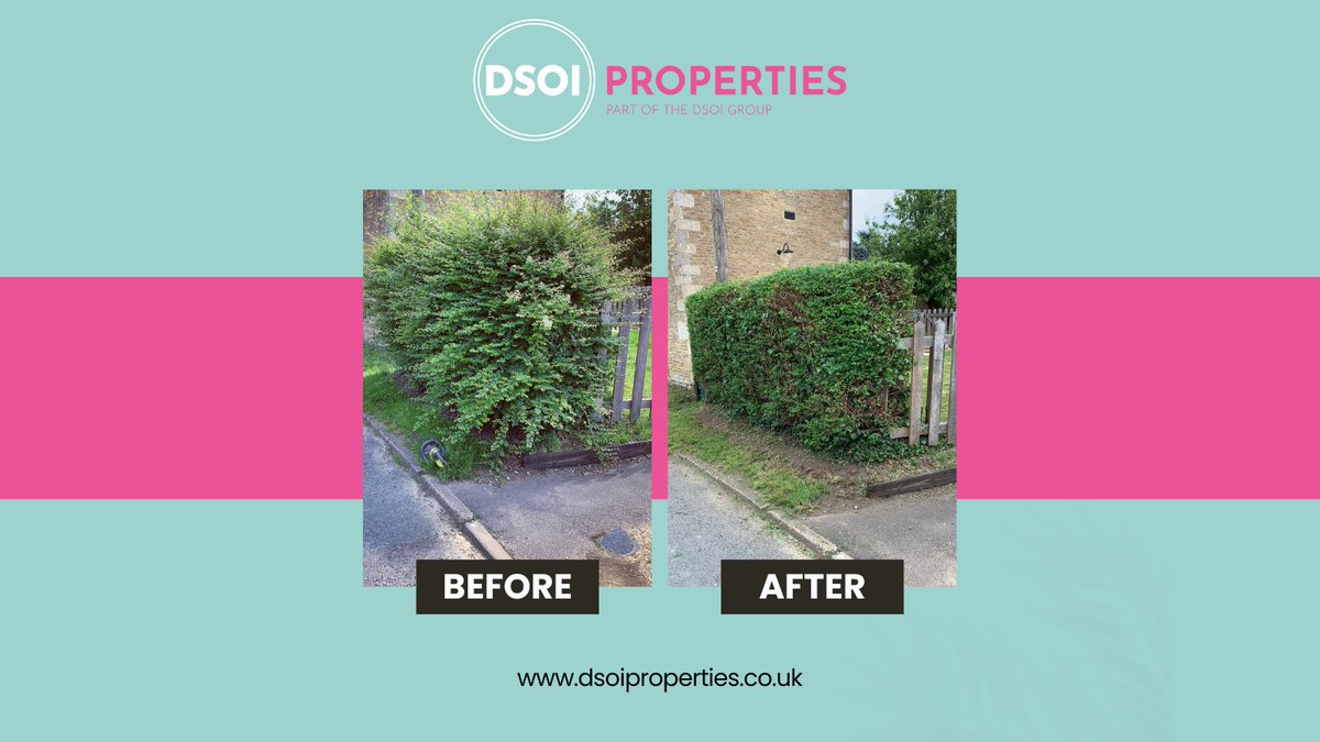 Spring has finally sprung, and you may have noticed your lawn or hedges growing out of control. Let us help tidy things up! Call 0800 644 0150 or visit dsoiproperties.co.uk #grasscutting #hedgetrimming #gardenmaintenance #weeding