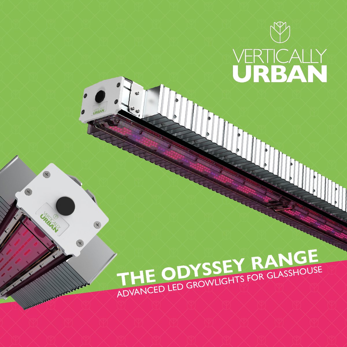 Vertically Urban tweet media