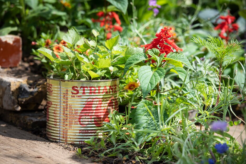 Do you need advice to create your coronation container this #NationalGardeningWeek? Or do you have any gardening question for our Horticultural Advisor Becky? The #RHSTwitterClinic is open today from 12-2pm 🌱