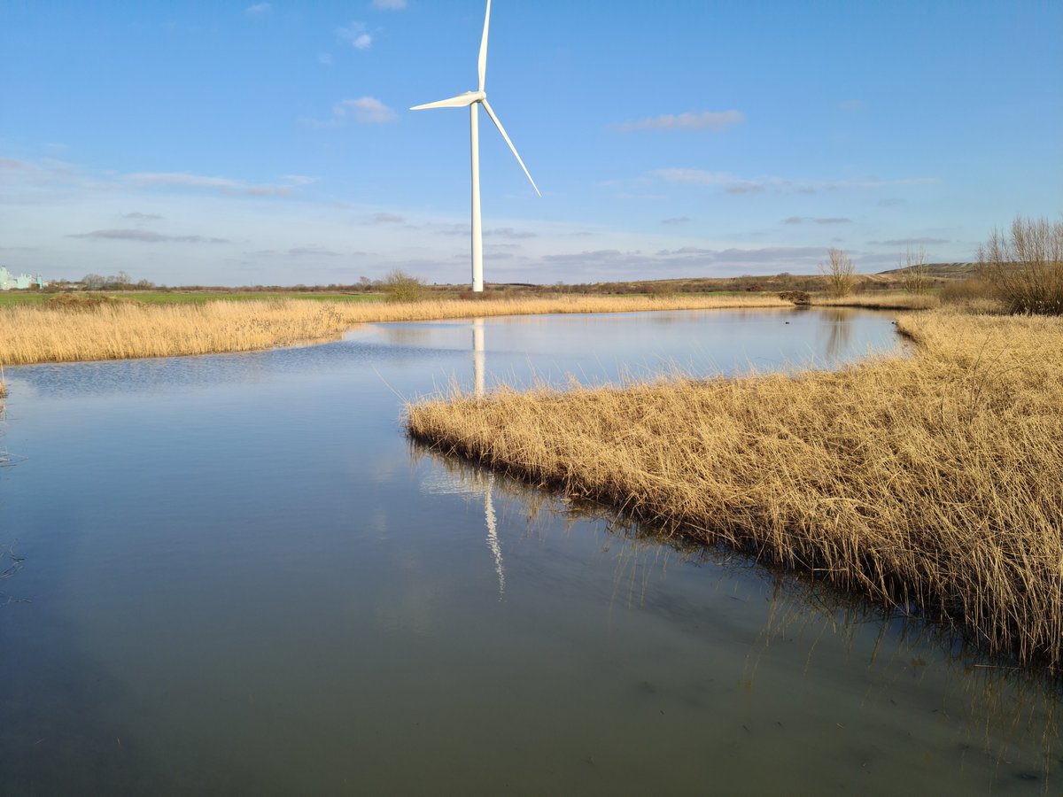 Winter Reed Cutting and Clearance. These are 2 before and after shots of work carried out at a Nature Reserve in Central England last winter. Work was carried out to very specific shape to leave enough habitat for wildlife #aquaclearbanda