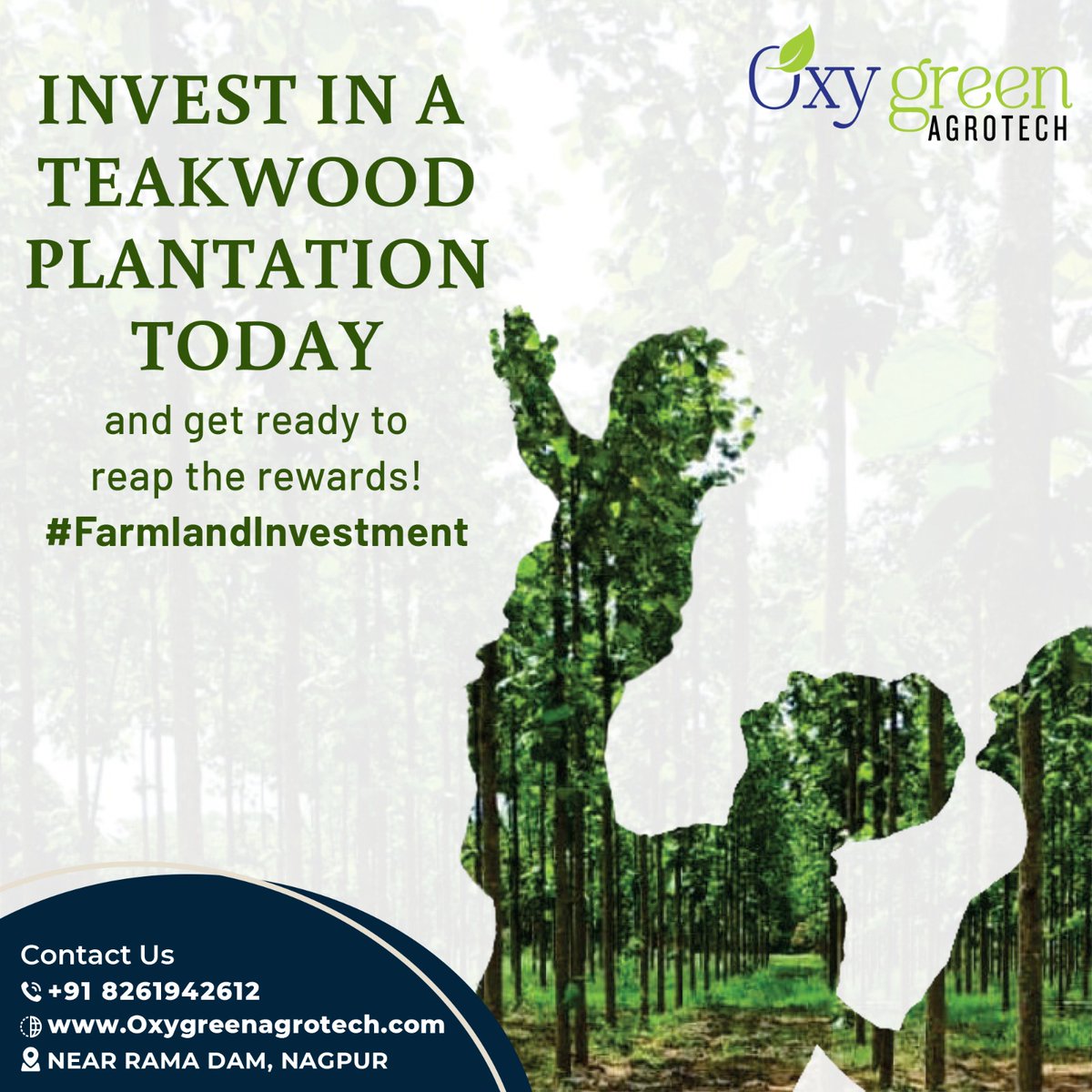 OxygreenAgrotec's tweet image. Teakwood farmland is a #tangibleasset that offers both #financial rewards and #environmental benefits.

With #landappreciation and #TaxFree income, investing in a teakwood farmland can help #secure your future and create generational #wealth 

Contact Us : 𝟴𝟮𝟲𝟭𝟵 𝟰𝟮𝟲𝟭𝟮