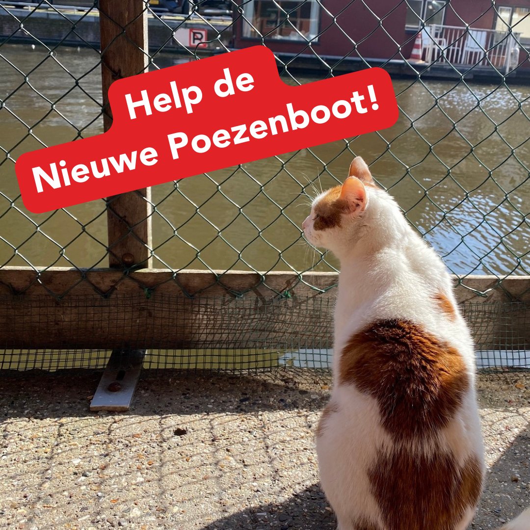 Wij hebben een donatie gedaan voor de nieuwe
<a href="/depoezenboot/">De Poezenboot</a>
en wij willen jullie aanmoedigen hetzelfde te doen. Laten we samen zorgen voor een mooie nieuwe boot voor de katten in nood!  Ook helpen? > denieuwepoezenboot.nl #scholmiauw #denieuwepoezenboot