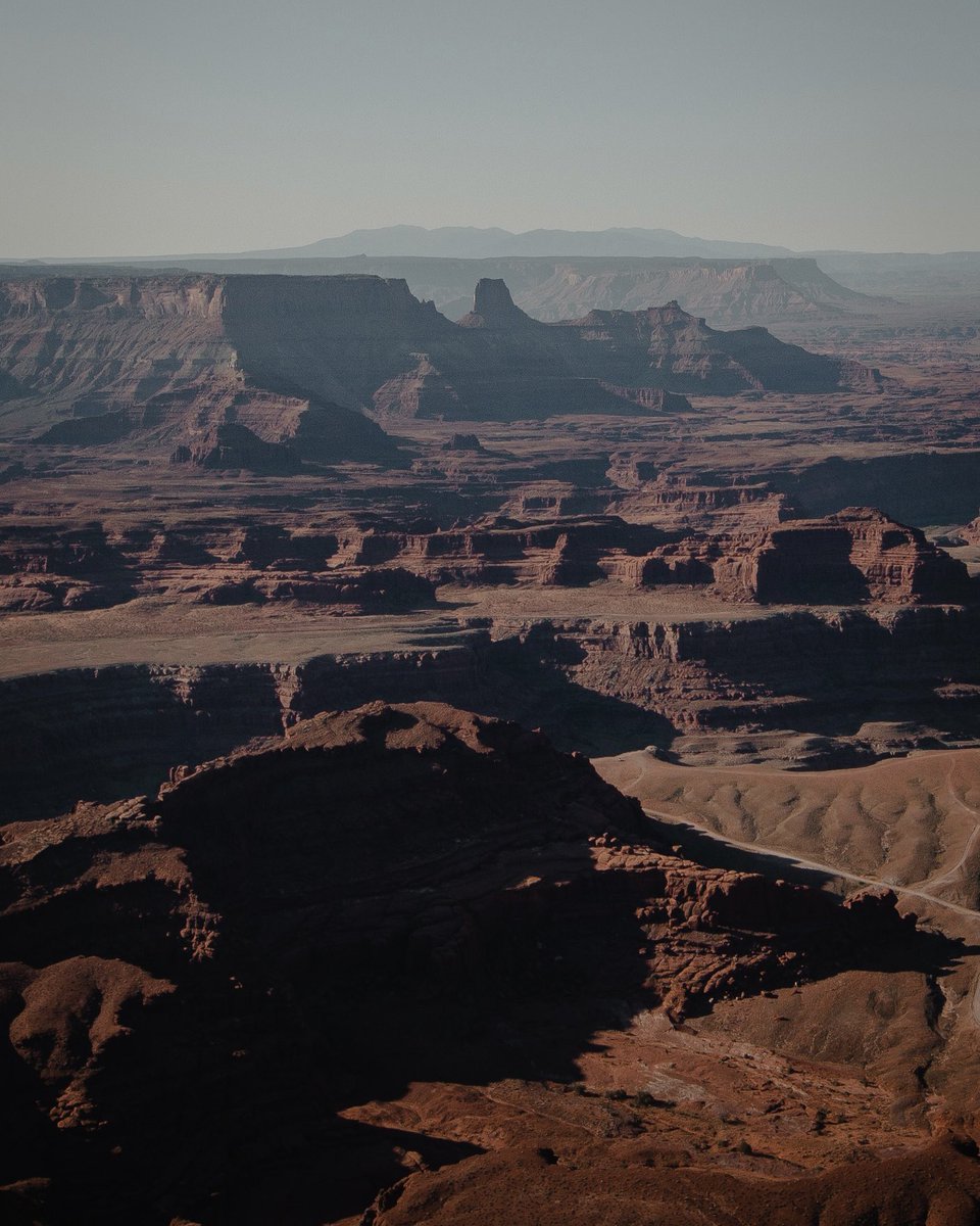 Oli Arlart tweet media