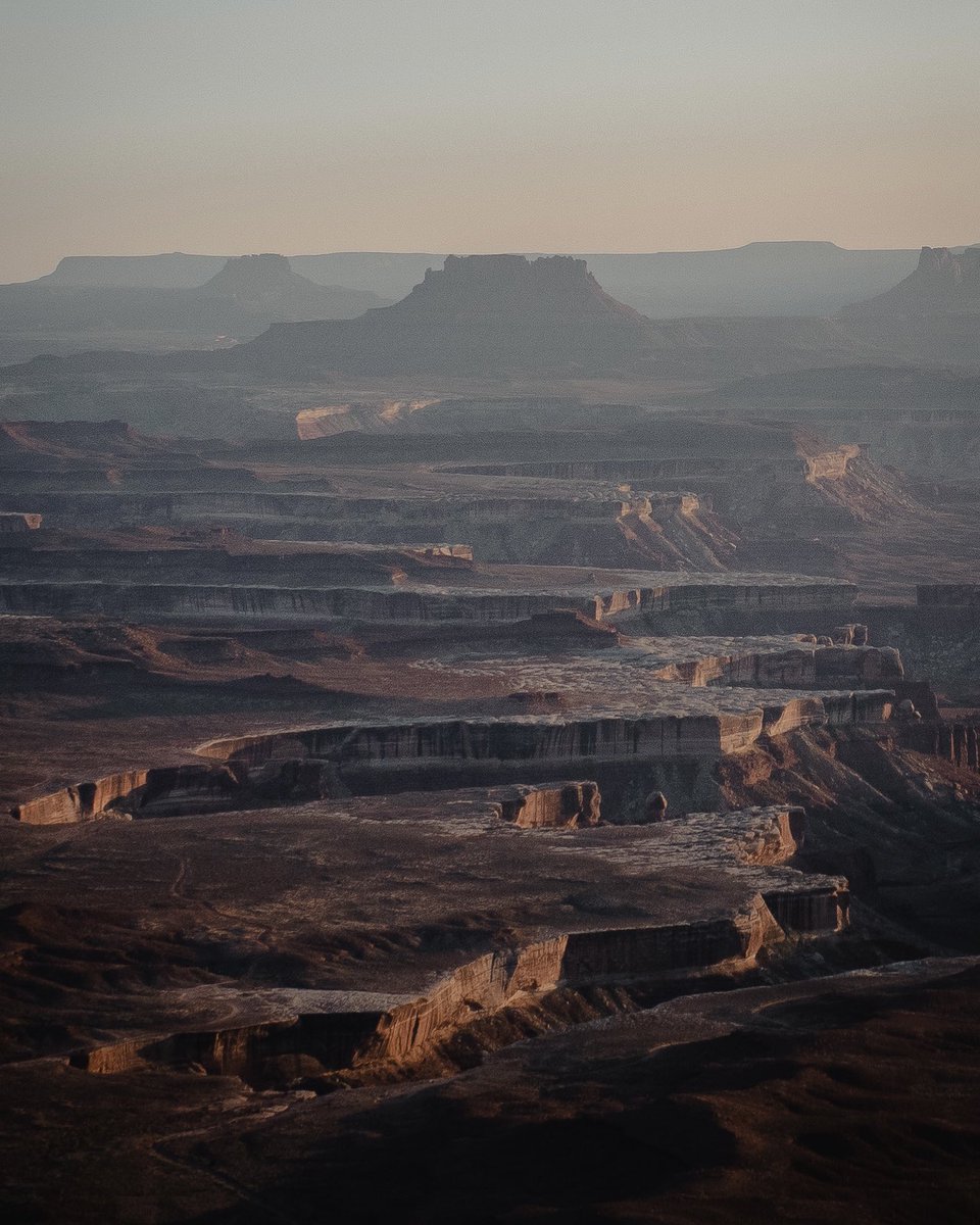 Oli Arlart tweet media