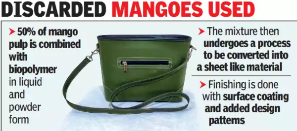 Testfalcon1's tweet image. #Chennai: #CLRI scientists make '#leather' out of #mango 

toi.in/2JG5Pa/a24gk by #timesofindia via Unfollowers
