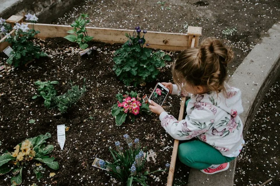 KlimateKonnect's tweet photo. Find out which schools have signed up to Lets Go Zero:
 
https://t.co/gbsBevnJyV
 
#letsgozero #gozero #climateaction #climateactionnow #climatechangeisreal https://t.co/JlaFjeLSpA