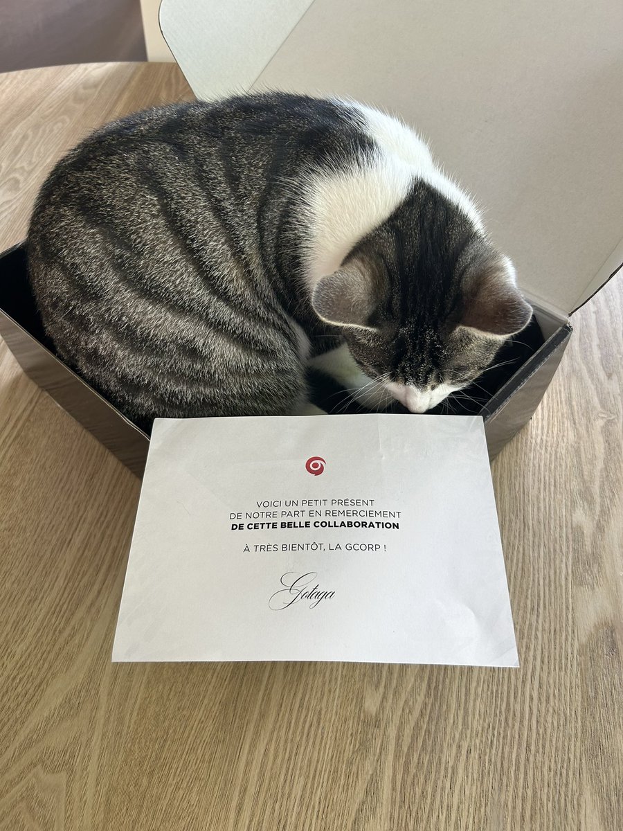 Merci beaucoup ☺️ 
<a href="/GotagaTV/">GotagaTV</a> 
<a href="/Gotaga/">M8 Gotaga</a>