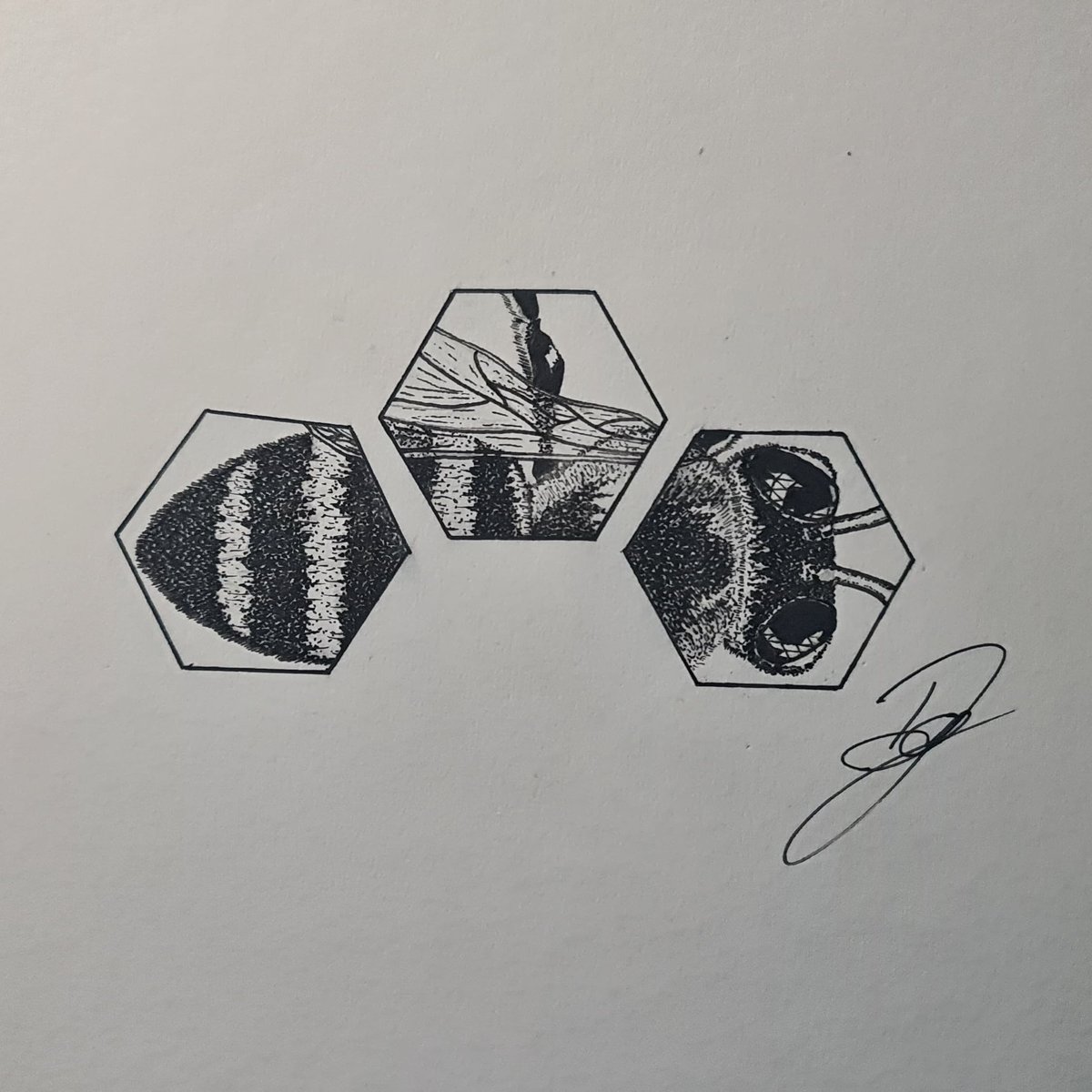 Bee illustration. Go follow my insta account for more ink drawings 

#bees #geometry #hexagon #geometryart #hive #beehive #nature #inkdrawing #inkedup #inkillustration #art #artclothing #artwork #artoftheday #blackinkcrew #blackink #capetownartist #southafricandesign