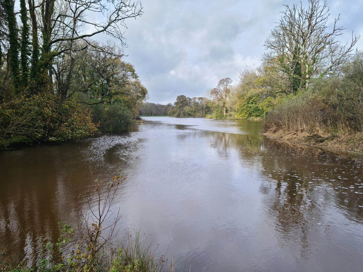 Below are before and after photos from Autumn 2022 where reed was cleared from the inlet of a lake in South Wales #aquaclearbanda