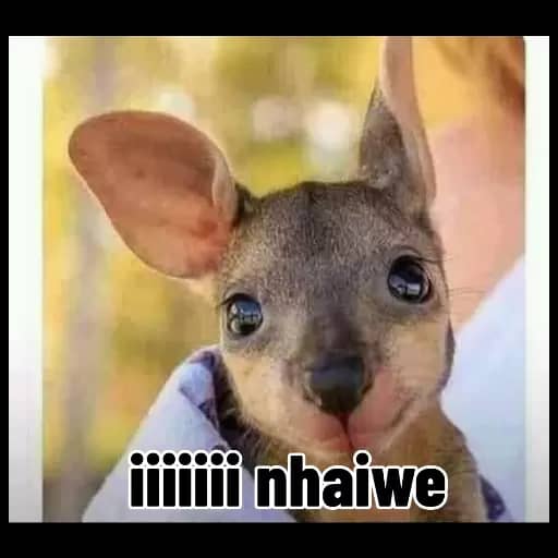 lanGochman's tweet image. #NewProfilePic