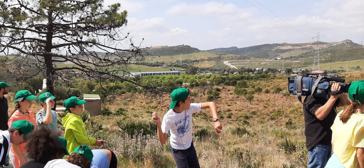 Green Globe SyPA tweet media