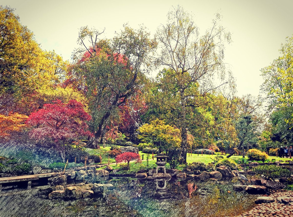 Kyoto Gardens, Holland Park

#London 
#uk
#travelphotography
#gardens
#citytravel
#picoftheday
#photooftheday