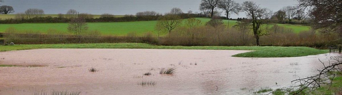 Happy to share our recent publication that highlights the challenges and limitations of applying hydrological models to assess the effectiveness of natural flood management in different settings doi.org/10.1111/jfr3.1… @LandwiseNFM @NERCscience #NFMResearchProgramme