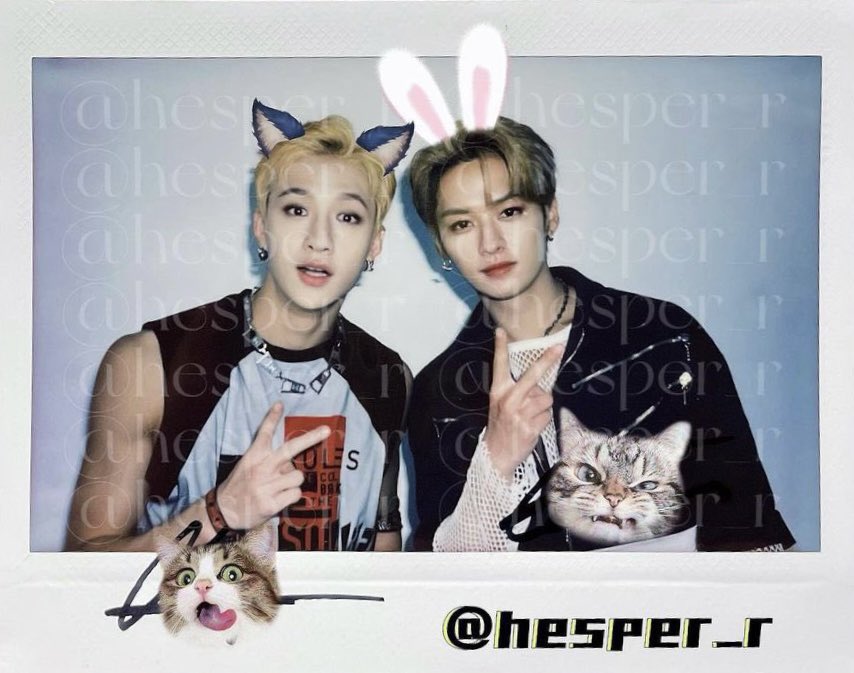 9798loops's tweet photo. MINCHAN POLAROID 🫶🏻 https://t.co/O4kbDwOxbC