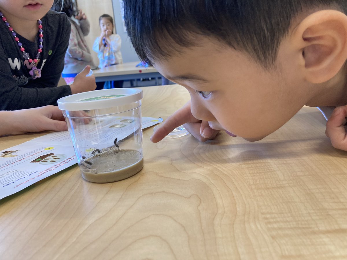 Mrs. Greiner tweet media