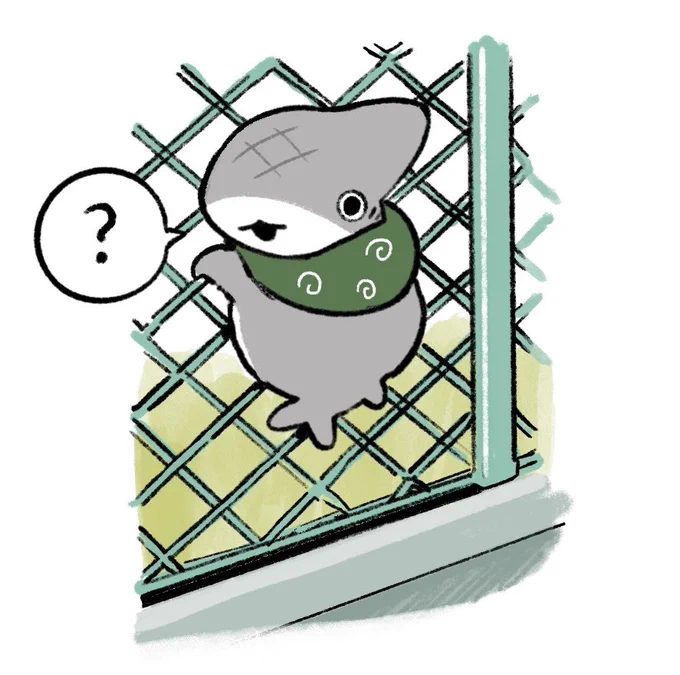 ハッシュタグっぽい跡がついちゃった子ザメ。インスタもやってます!  