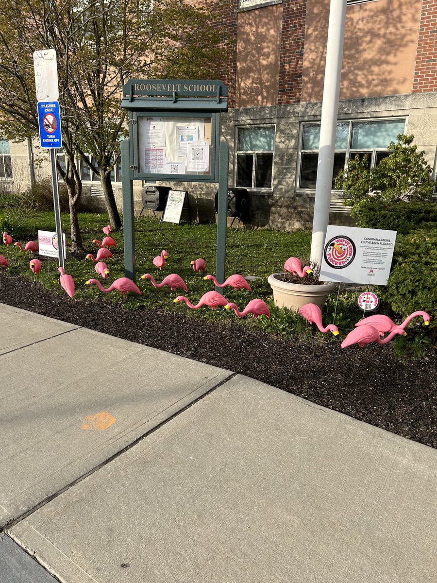 Our Pink Friends are back enjoying the morning sunshine!  THANK YOU Melrose Education Foundation for all you do to support our schools!  XO Roosevelt Ravens ⁦<a href="/RoosMelrose/">Roosevelt School</a>⁩ ⁦<a href="/MelrosePS/">MelrosePublicSchools</a>⁩ ⁦@MelroseEd⁩