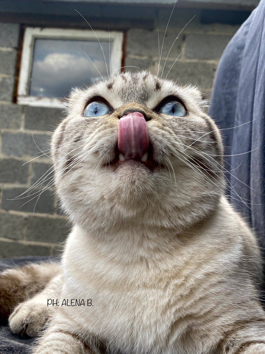 Это надо сделать главной фотографией, я думаю, как считаете?😁