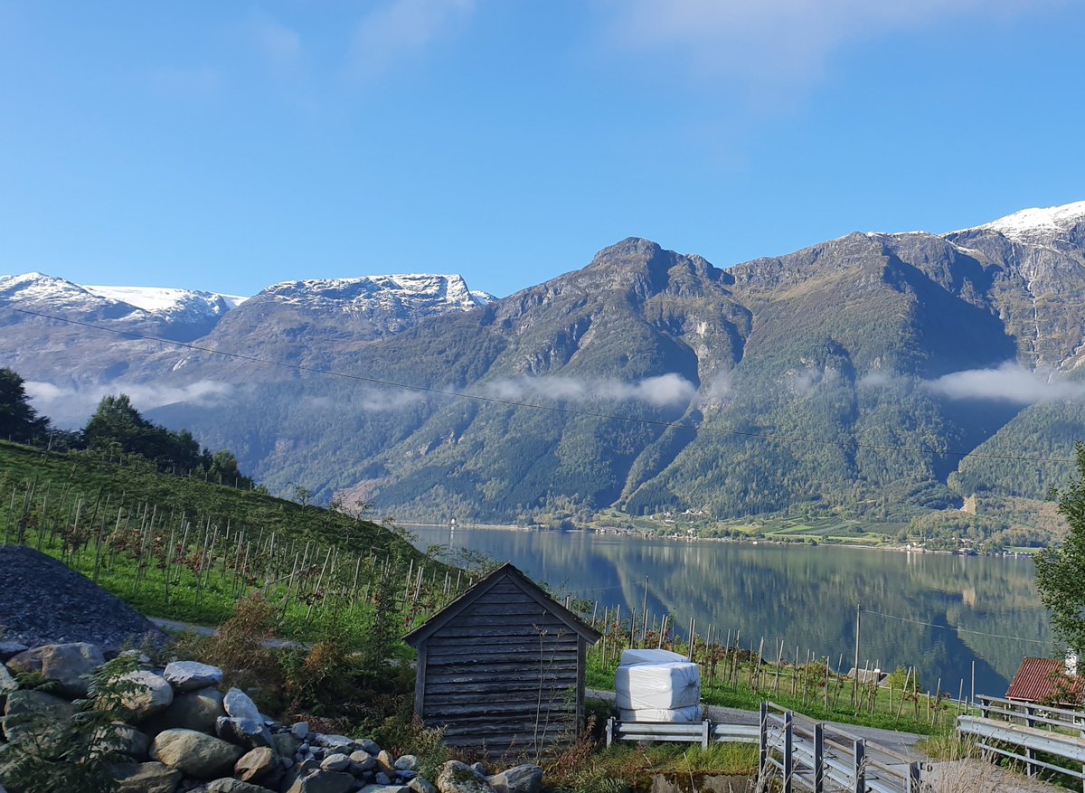 Anyone fancy doing a PhD on the uses of wild bee pollination as a nature-based solution in fjordside horticultural production? If you like the idea of having fieldsites that look like the one pictured below then check this out: nina-english.attract.reachmee.com/jobs/30-phd-po… @NINAnature @CeSAM_UiB