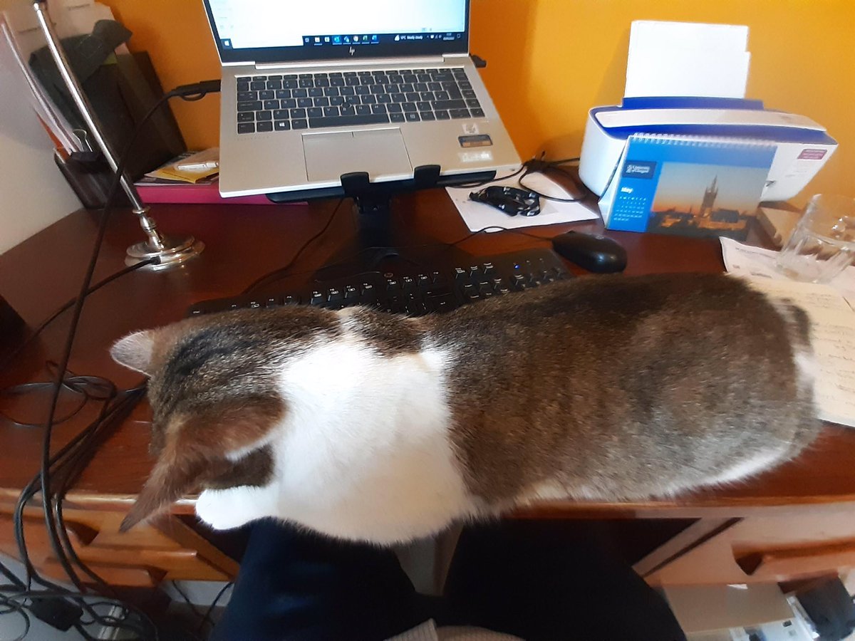 Kenneth Fee tweet media