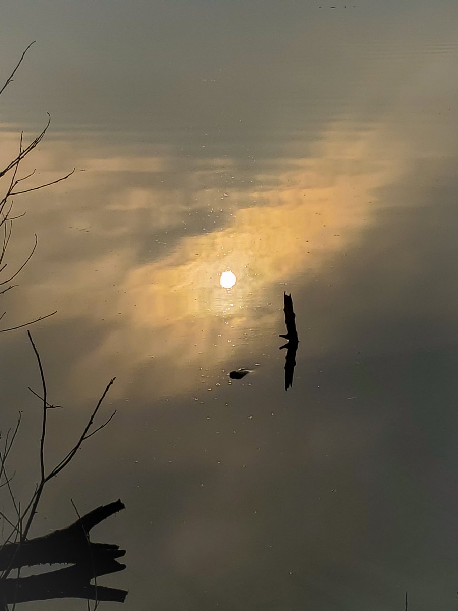 irvoslin's tweet photo. My camera and I need to get out more in the mornings. https://t.co/4R1XyhXUYo