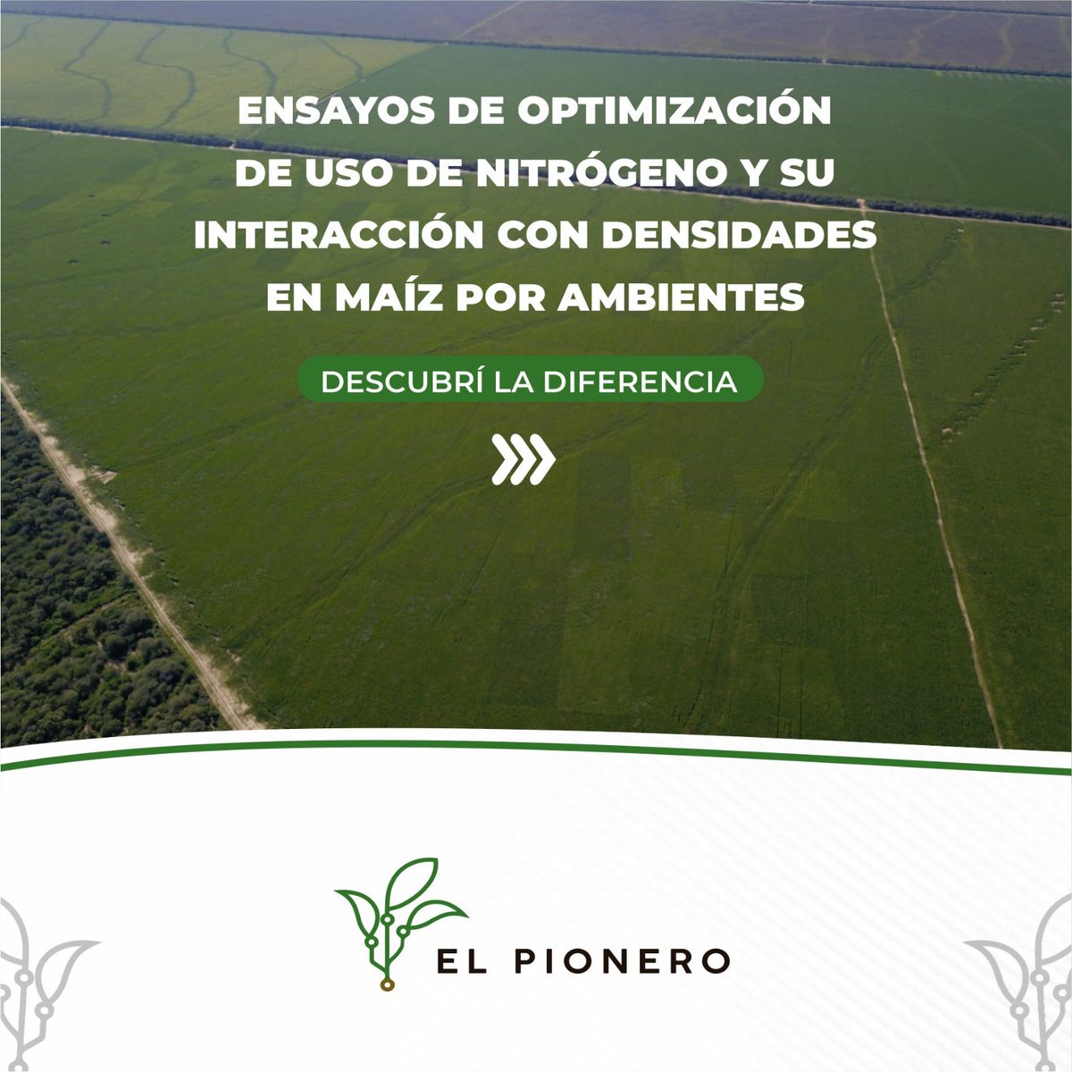 ElPioneroAgro's tweet photo. 🌽Conoces la importancia de fertilizar? 
El equipo de El Pionero realizó ensayos de optimización de uso de nitrógeno y su interacción con diferentes densidades en maíz por ambientes. 
Descubrí los resultados!

#PrecisionPlanting #ensayos #maiz #fertilizacion https://t.co/dH927KbqPa