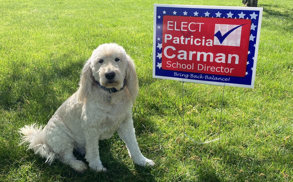 Vote Responsibly!  Region 3 -
You have a choice!  Buckingham- vote for Patricia Carman.  I will listen to both sides and seek to understand.  It is time to start working together. 

Let’s get started, and create a new one effective school board!
#bringbackbalance
#savcbsd
#cbsd