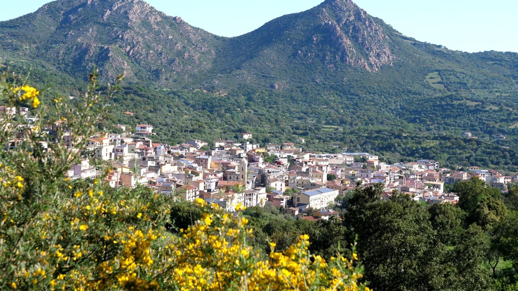 primavera_cuore's tweet photo. La #primaveranelcuoredellasardegna23 arriva a #Loceri, piccolo borgo ogliastrino situato a breve distanza dalle verdi montagne e a pochi minuti dalle splendide spiagge.
Sabato 6 e domenica 7 maggio potremo conoscere questo territorio incantato tra i far… https://t.co/sFgxmqw0q1 https://t.co/ukH1mmCYll