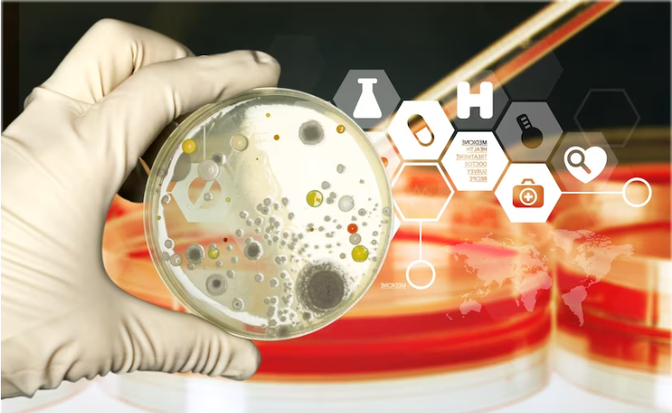 petri plate with bacteria enterococcus faecalis
#bacteria  globalserviceshyd.com