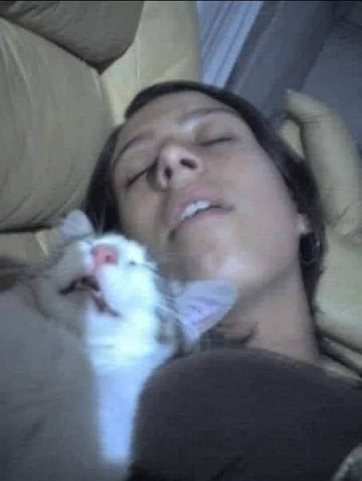 hashjenni's tweet image. Sorry for not answering I was busy

 Me: "busy"