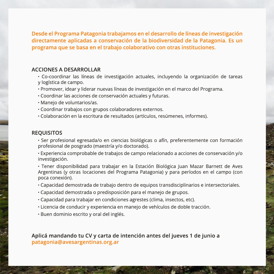 Fundación Macá Tobiano tweet media