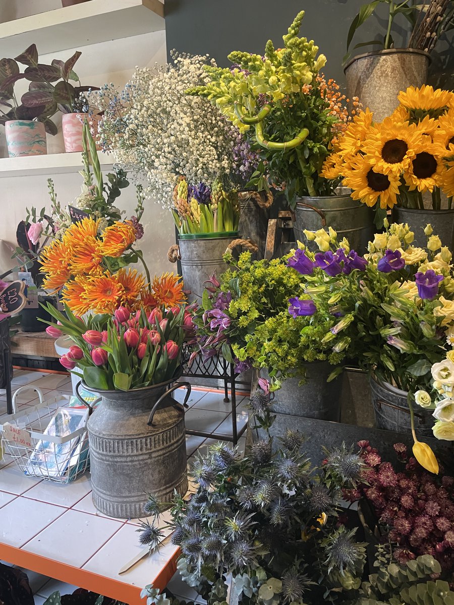 short milly tweet media