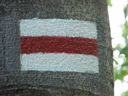 Wiecie co oznaczają te paski?
Zapytałem o to kilkunastu młodych ekologów i odpowiedzi mnie przeraziły. Zbudowaliśmy ułomne, pozbawione podstawowych umiejętności pieszych pokolenie rowerzystów.