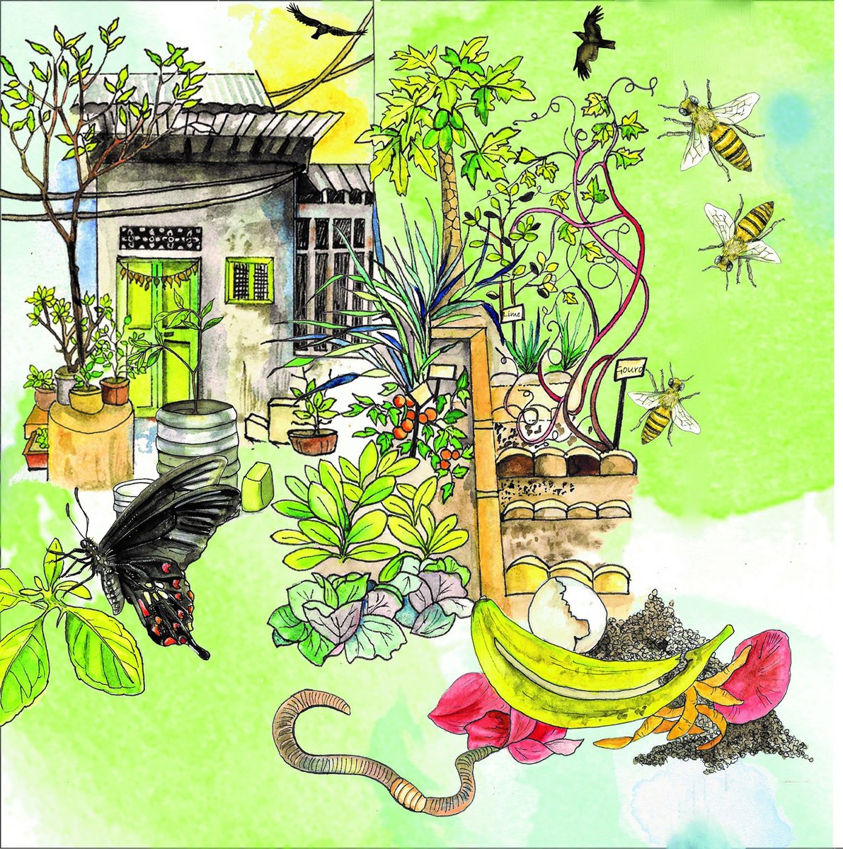 How does this look as a book panel? Sustainability is one of the themes in Sowing sustainable cities book. Here I have tried to illustrate urban housing, terrace gardening, composting and wildlife associated with urban farming.

#butterfly #terracegardening #composting