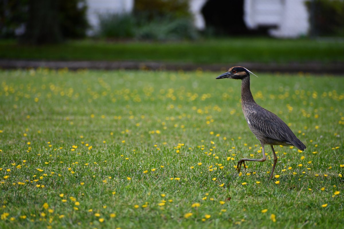 Outdoor Education Collective tweet media