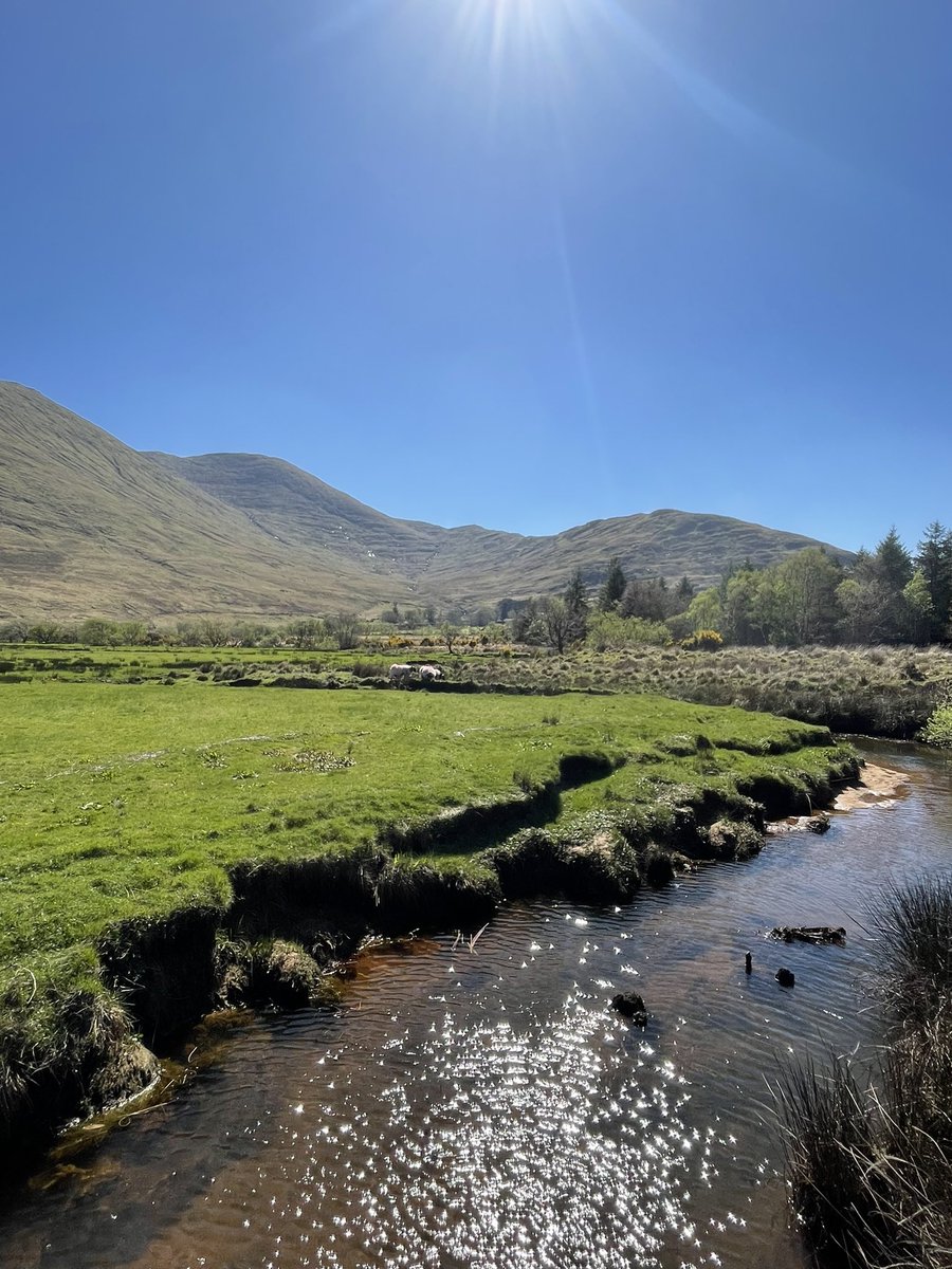 LeneSortland's tweet image. Had 3 great weeks at river Erriff with @ResearchIFI where I learned all about their telemetry work on salmonids🐟 The river is in #ConnemaraNationalPark, so I was blessed with beautiful surroundings during my stay (ref video). @AquaticTracking  #trackingnotslacking