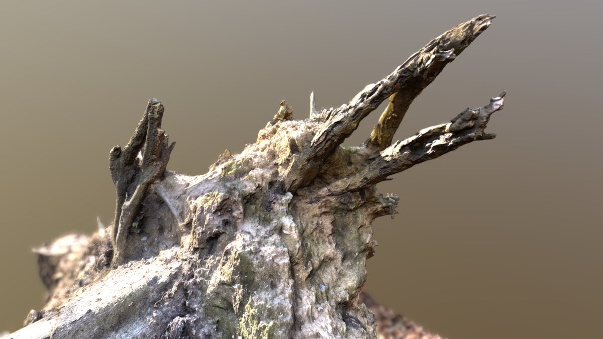 3D model of a tree stump by colourmatch

Created using #RealityScan mobile application.

View it on Sketchfab: skfb.ly/oGEsL

#RealityScan #3dscanning Download for iOS: apps.apple.com/us/app/reality…